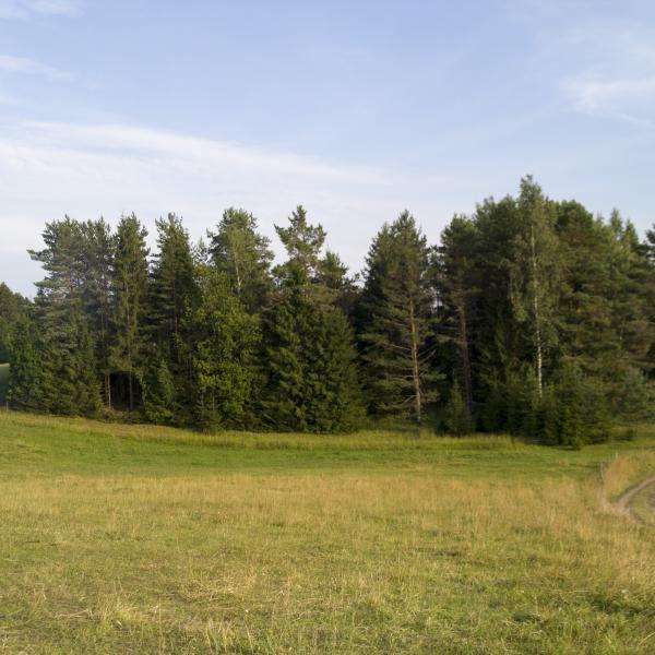 20180722_18-15-12.jpg