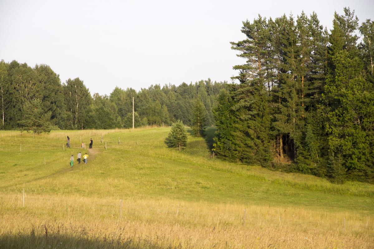20180715_19-02-24.jpg